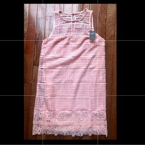 NWT Abercrombie & Fitch pink lace dress XS